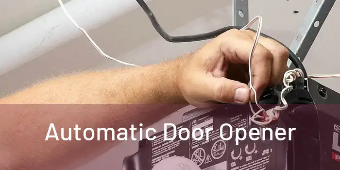  Automatic Door Opener 